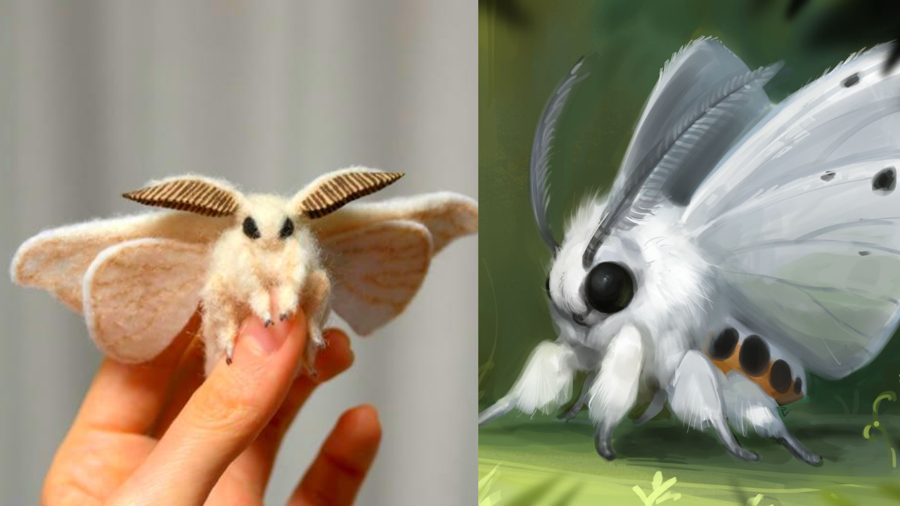 Cute moth